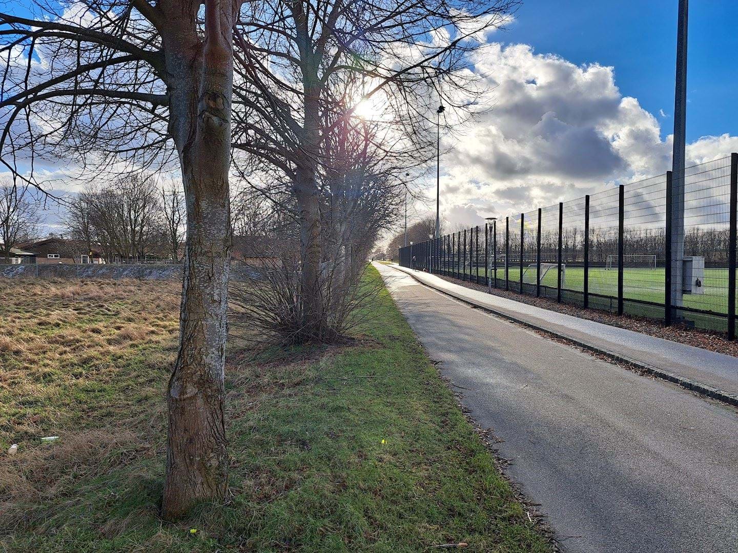 Eksisterende trærække langs Mosestien